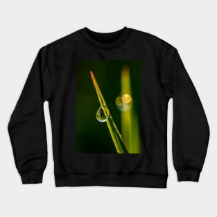 Water Bead on a Blade of Grass Crewneck Sweatshirt